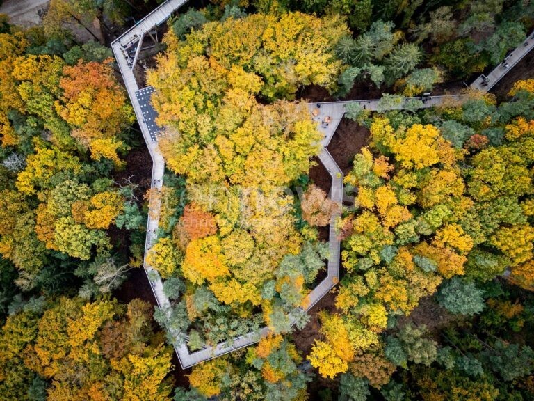 🌲 NÜRNBERG - Deutsche Waldtage am Freitag (19.09.2025)! Sonderführung auf Klimawaldpfad im Tiergarten - Anmeldung bis Donnerstag! 🌳
