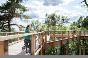🌲 NÜRNBERG - Deutsche Waldtage am Freitag (19.09.2025)! Sonderführung auf Klimawaldpfad im Tiergarten - Anmeldung bis Donnerstag! 🌳