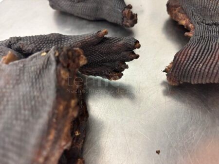 MÜNCHEN - 🦎 Zoll entdeckt am Donnerstag (05.09.2025) getrocknetes Waranfleisch! Reisender aus Lagos schmuggelt geschütztes Tierprodukt ohne Genehmigung! 🛃