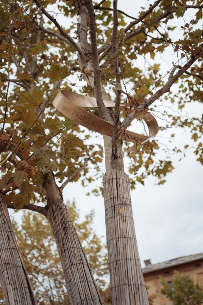 ROSENHEIM - 🕯️ Letzte Chance: Heute Anmeldung für Mitfahrgelegenheit zur Gedenkzeichen-Übergabe am 10.10.2025 – jetzt beim Stadtarchiv melden! 🌹