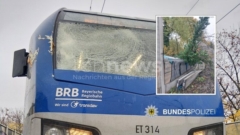 🚆 Baum kracht auf fahrenden Regionalzug am Montag (27.10.2025): 400 Reisende evakuiert, niemand verletzt, Strecke gesperrt. 🌳