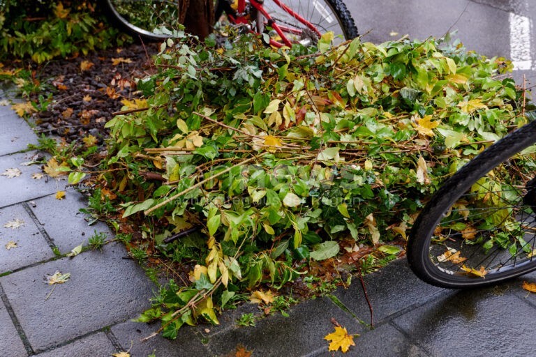 BAMBERG - Grüngut-Chaos! Bamberg Service lässt ungebündelte "Grüngut-Berge" liegen - Eigenentsorgung droht bei regelwidriger Bereitstellung!