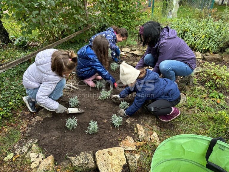 NEUMARKT IN DER OBERPFALZ - 🌱 Gartenprojekt an der Grundschule Wolfstein: Kinder pflanzen Lavendel, erleben Natur und lernen fürs Leben! 🪴