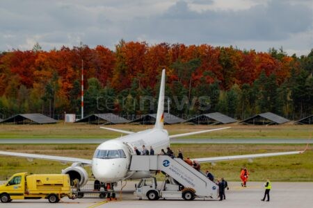 NÜRNBERG - 🌲 Hiebsmaßnahmen im Reichswald ab Oktober! Airport und Staatsforsten fällen Bäume für Flugsicherheit - Eichen sollen profitieren! ✈️