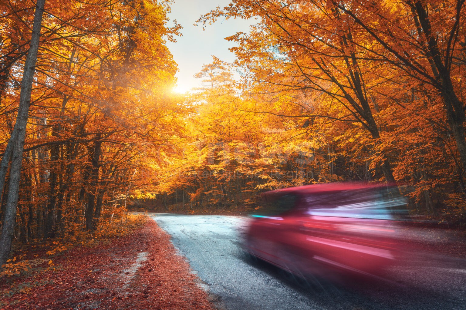 WÜRZBURG - 🍂 Polizei am Dienstag (07.10.2025) Herbst-Tipps: Geschwindigkeit anpassen, Winterreifen rechtzeitig aufziehen, auf Wildwechsel achten! 🚗