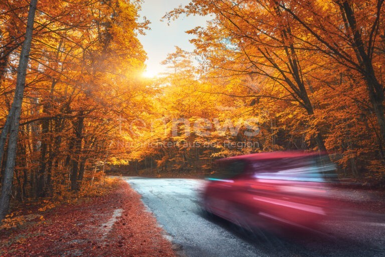 WÜRZBURG - 🍂 Polizei am Dienstag (07.10.2025) Herbst-Tipps: Geschwindigkeit anpassen, Winterreifen rechtzeitig aufziehen, auf Wildwechsel achten! 🚗