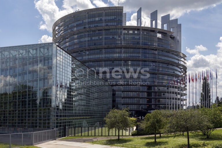 STRASSBURG - 🥩 EU-Parlament stimmt am Mittwoch (08.10.2025) für Namensverbot! Veggie-Burger und Soja-Schnitzel müssen umbenannt werden! 🌱