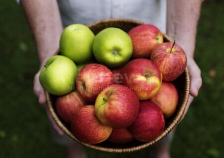 FÜRTH - 🍏 Apfelmarkt am Sonntag: Spezialitäten, Aktionen, Sortenbestimmung und Familienprogramm im Stadtpark – regionale Vielfalt erleben! 🍯