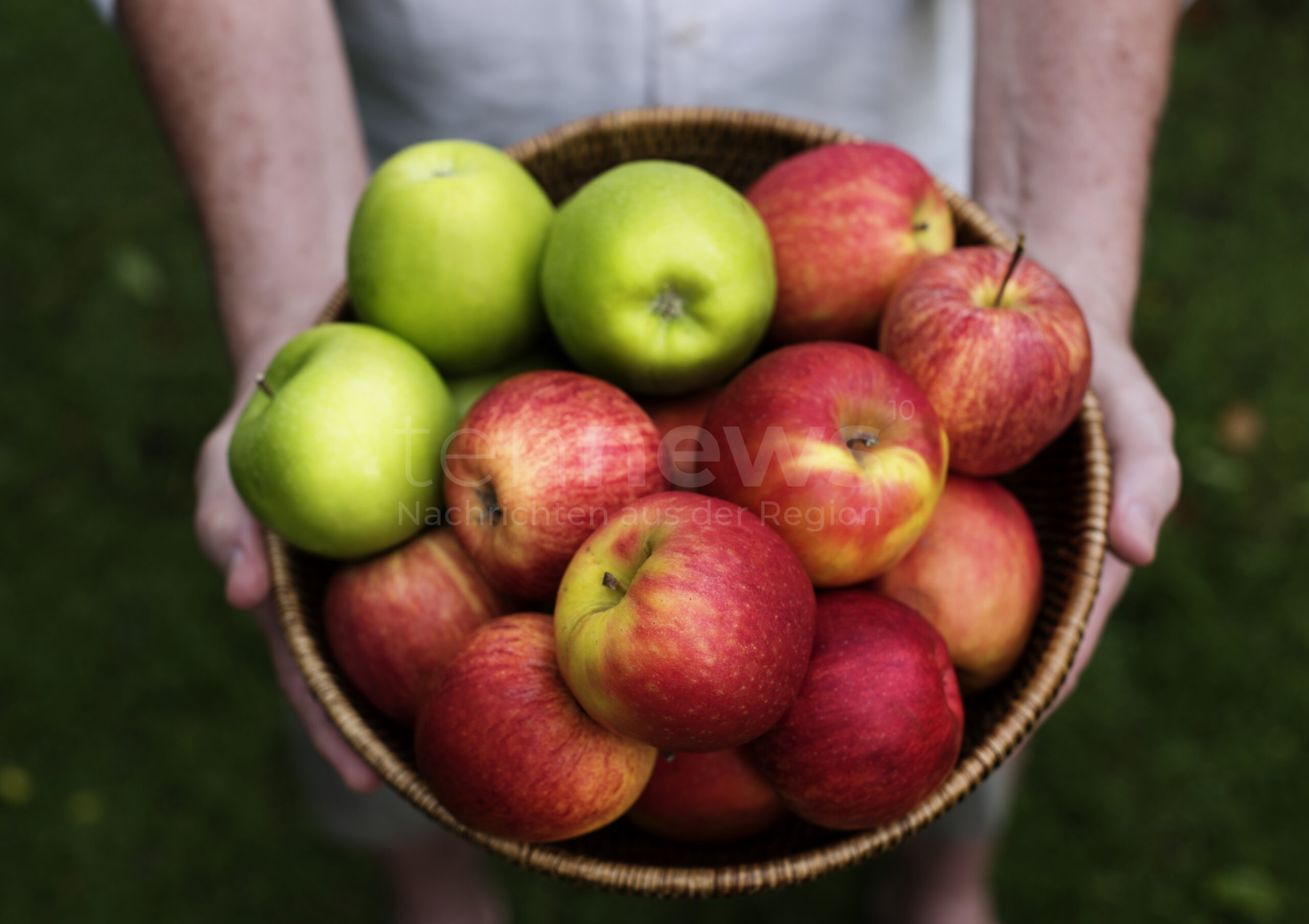 Fürth: Apfelmarkt am Sonntag – Regionales Obst, Aktionen und Familienprogramm im Stadtpark - tennews FÜRTH - 🍏 Apfelmarkt: Obst, Aktionen, Sortenbestimmung und Familienprogramm im Stadtpark – regionale Vielfalt erleben und genießen! 🍯