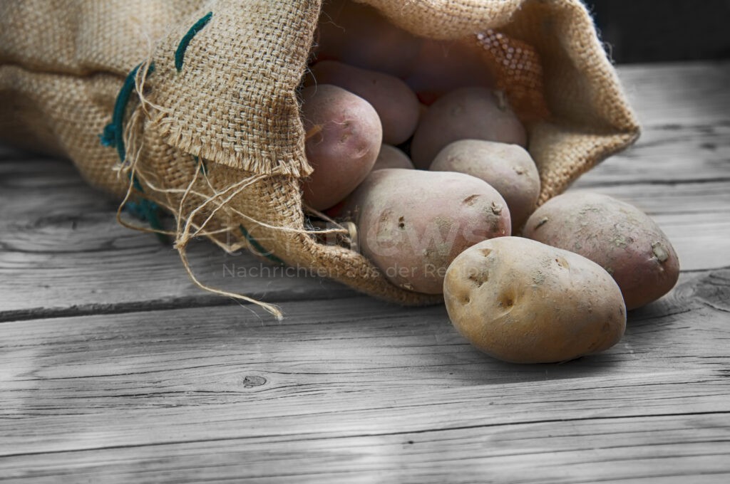 MÜNCHEN - 🥔 Verbraucherzentrale warnt: Kartoffeln und Zwiebeln niemals zusammen lagern! Reifegas lässt Kartoffeln keimen, Feuchtigkeit schadet Zwiebeln! 🧅