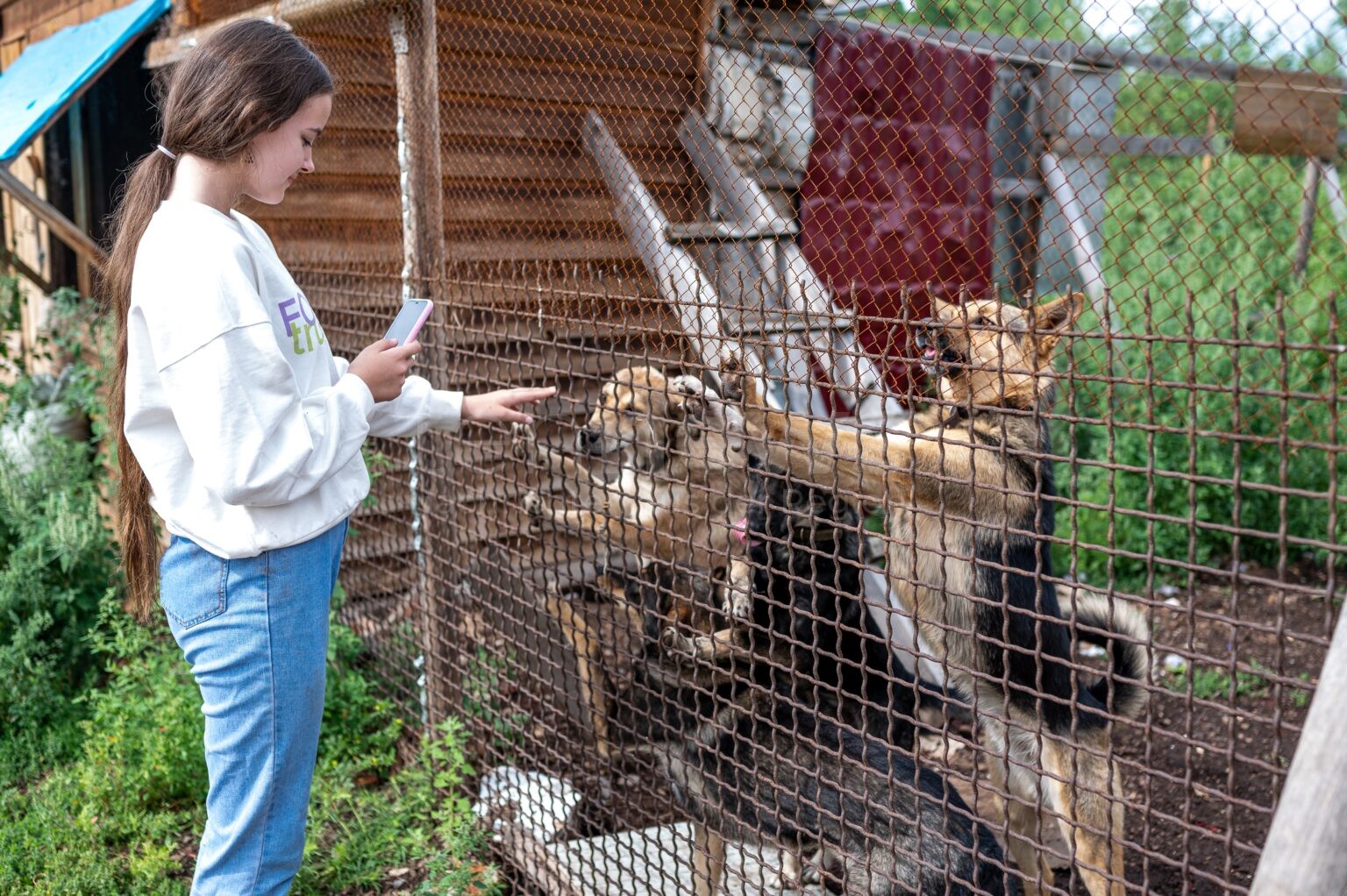 MÜNCHEN – 🐾 Glauber würdigt zum Welttierschutztag Bayerns Tierheime: Rekordförderung, Jubiläum für Tierschutzpreis, Dank an Ehrenamtliche. 🏆
