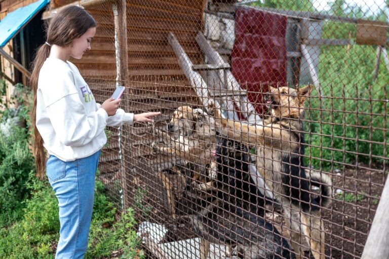 MÜNCHEN – 🐾 Glauber würdigt zum Welttierschutztag Bayerns Tierheime: Rekordförderung, Jubiläum für Tierschutzpreis, Dank an Ehrenamtliche. 🏆
