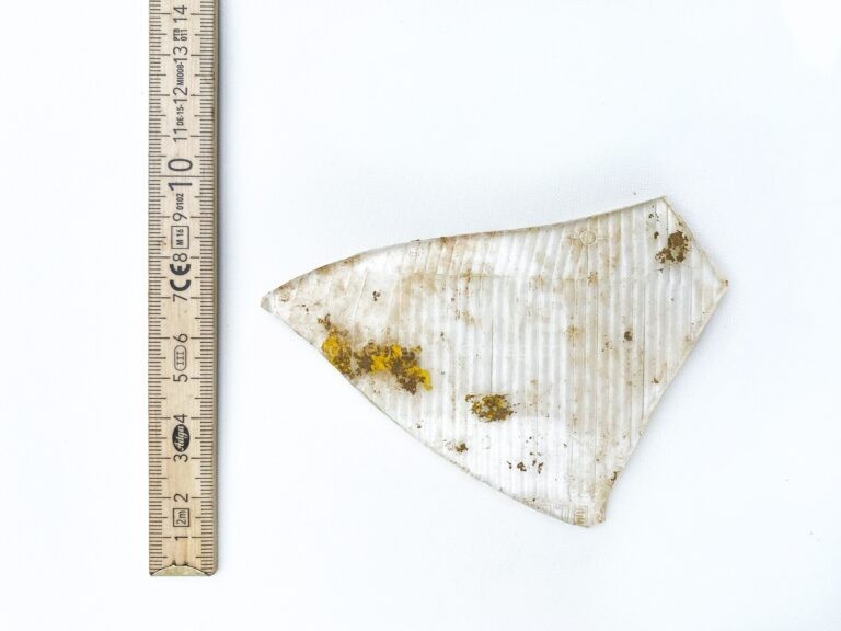 REGENSBURG - Vernissage am Dienstag (28.10.2025)! Künstlerin Pirko Schröder zeigt MOTA - Museum des Anthropozäns mit gesammelten Fundstücken menschlicher Spuren!