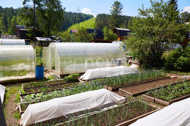 NÜRNBERG - 🥕 „Bumberlgsund“: Seit Dienstag entdecken Grundschüler Ernährung, Landwirtschaft & Umwelt – Mitmachprogramm fördert Nachhaltigkeit! 🐔