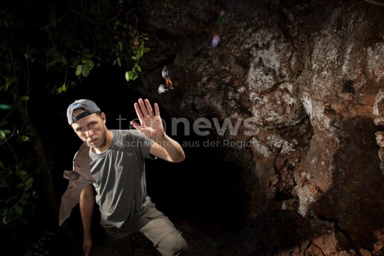 NÜRNBERG - 🦇 Lange Nacht der Wissenschaften am Samstag (25.10.2025): Tiergarten und Bionicum zeigen Echoortung bei Delfinen und Fledermäusen! 🐬