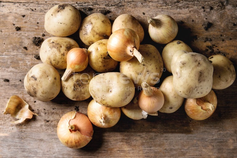 MÜNCHEN - 🥔 Verbraucherzentrale warnt: Kartoffeln und Zwiebeln niemals zusammen lagern! Reifegas lässt Kartoffeln keimen, Feuchtigkeit schadet Zwiebeln! 🧅