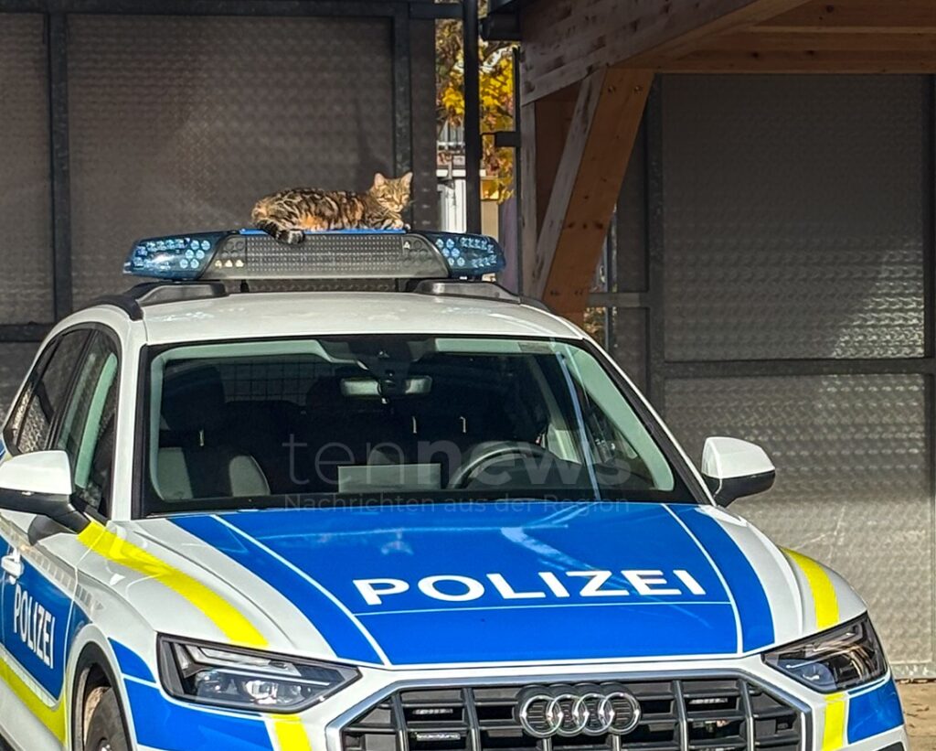 SCHROBENHAUSEN - 🐱 Katze macht Pause auf Polizeiauto! Beamte müssen anderen Streifenwagen nehmen - außergewöhnlicher Gast! 🚔