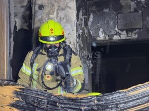 Nach Küchenbrand: Zwei Katzen tot und drei Personen verletzt! - tennews 🔥 ROTH - Drei Personen bei Küchenbrand am Montagmorgen (26.11.2025) verletzt. Zwei Katzen leider versendet. Weitere Haustiere durch Feuerwehr gerettet. 🚒