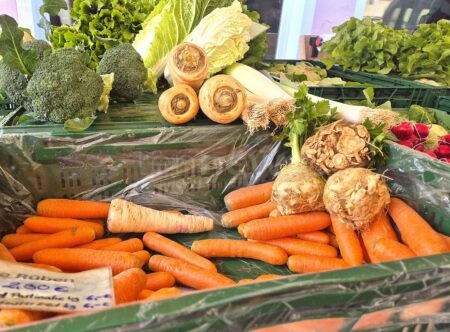 DONAUWÖRTH - 🛒 Neuer Genussmarkt beschlossen! Zusätzlich zum Bauernmarkt - Start am 14. März 2026 geplant! 🥖
