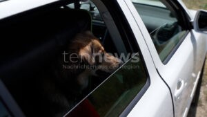 INGOLSTADT - 🐕 Drama am Montag (22.12.2025)! Hund fast erfroren in eiskaltem Auto - Feuerwehr bricht Wagen auf und rettet Vierbeiner! ❄️