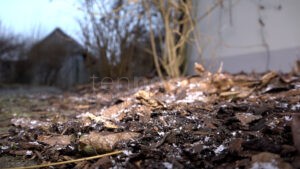 BAYERN - Schneefälle sorgen kurz vor Heiligabend in weiten Teilen Bayerns am Mittwoch (24.12.2025) für Hoffnung auf weiße Weihnachten. ❄