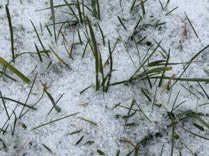 BAYERN - Schneefälle sorgen kurz vor Heiligabend in weiten Teilen Bayerns am Mittwoch (24.12.2025) für Hoffnung auf weiße Weihnachten. ❄️