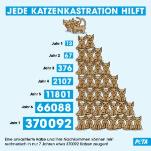 Über 2.000 Kommunen mit Katzenschutz: PETA fordert bundesweite Regelung - tennews DEUTSCHLAND - 🐱 Über 2.000 Kommunen mit Katzenschutz! PETA fordert bundesweite Regelung - Tierheime überfüllt! 🏠