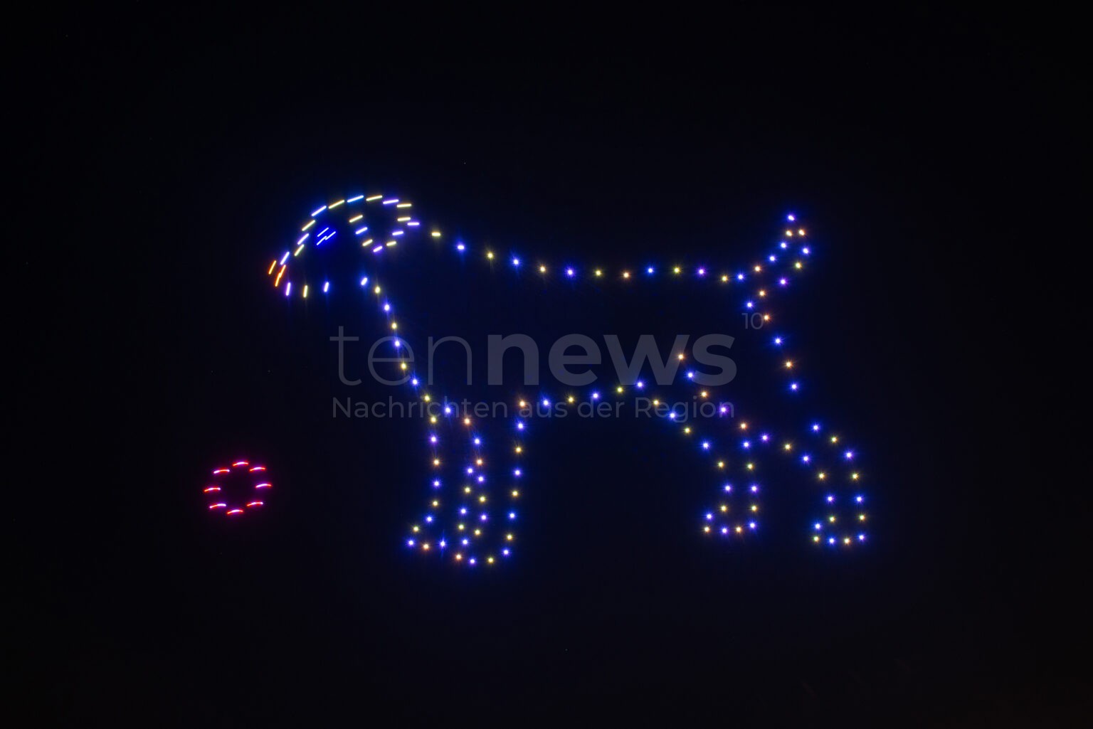 BONN - 🐕 Tierschutzbund kämpft gegen Silvester-Böller! "Tierfreundlich knallen gibt es nicht" - Millionen Tiere leiden! 🎆