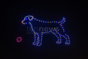 "Tierfreundlich knallen gibt es nicht": Tierschutzbund fordert Silvester-Böller-Verbot - tennews BONN - đ Tierschutzbund kĂ€mpft gegen Silvester-Böller! "Tierfreundlich knallen gibt es nicht" - Millionen Tiere leiden! đ