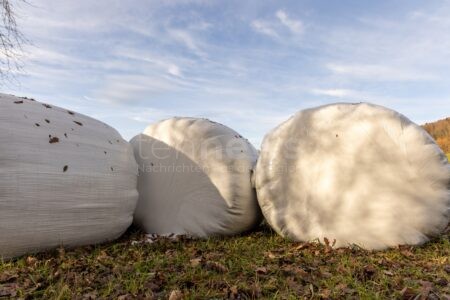DENKENDORF - 🌾 Vandalen zerstören Siloballen zwischen 01.12. und 13.12.2025! Mehrere Ballen aufgeschlitzt - 600 Euro Schaden! 💰