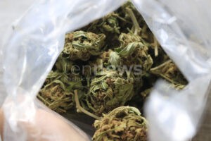 ERLANGEN - 🚔 Verkehrskontrolle am Sonntag (30.11.2025) führt zu Drogenfund! Mehrere Kilos Marihuana und Haschisch sichergestellt! 🌿