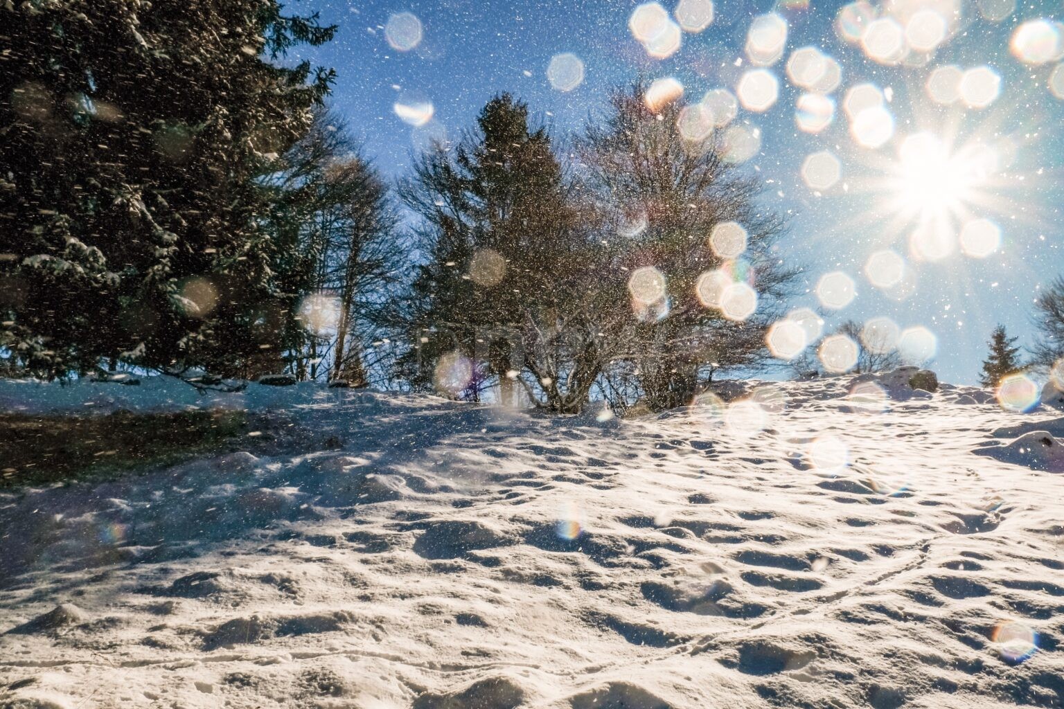 DEUTSCHLAND - ❄️ Bibber-Weihnachten am Mittwoch (24.12.2025)! Kältestes Fest seit 15 Jahren - DWD warnt vor minus 12 Grad! 🌡️