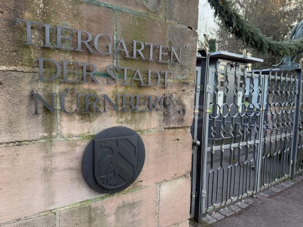 NÜRNBERG - 🐒 Tiergarten tötet 12 Paviane am Dienstag (29.07.2025)! Tierschützer stürmen Gelände - Polizei im Großeinsatz! 🚔