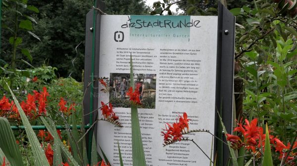 SCHROBENHAUSEN - 🌿 Heilkräuterführung im Interkulturellen Garten am Samstag (02.08.2025)! Zwölf Nationen gärtnern gemeinsam am Gabis-Bach! 🌻